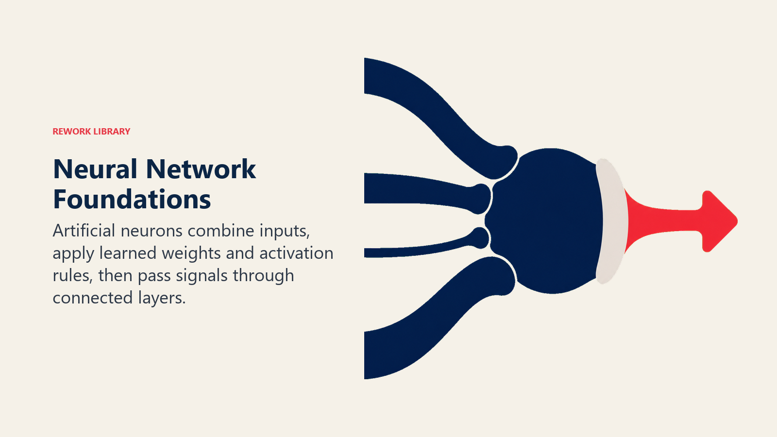 Neural Network Foundations shown as single mathematical neuron mechanism
