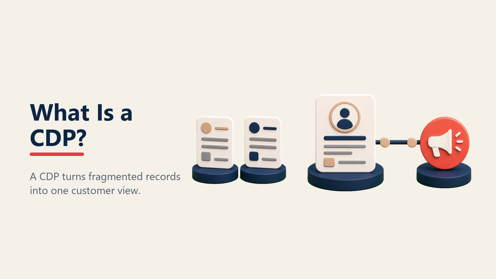 Customer data platform unifying fragmented customer records