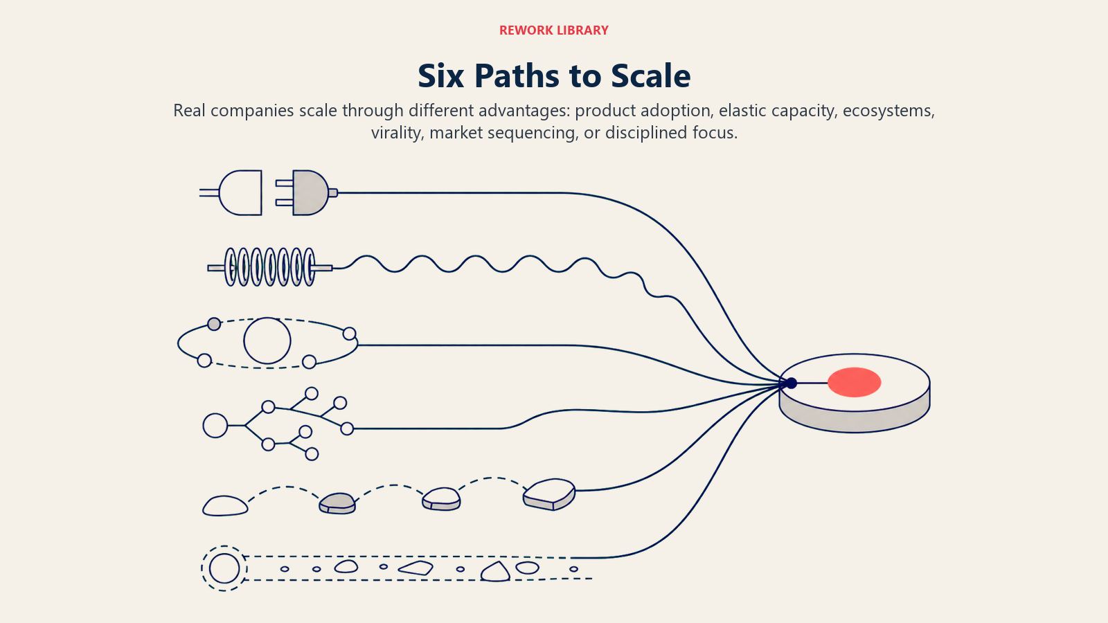 Six distinct company scaling paths converging on durable growth
