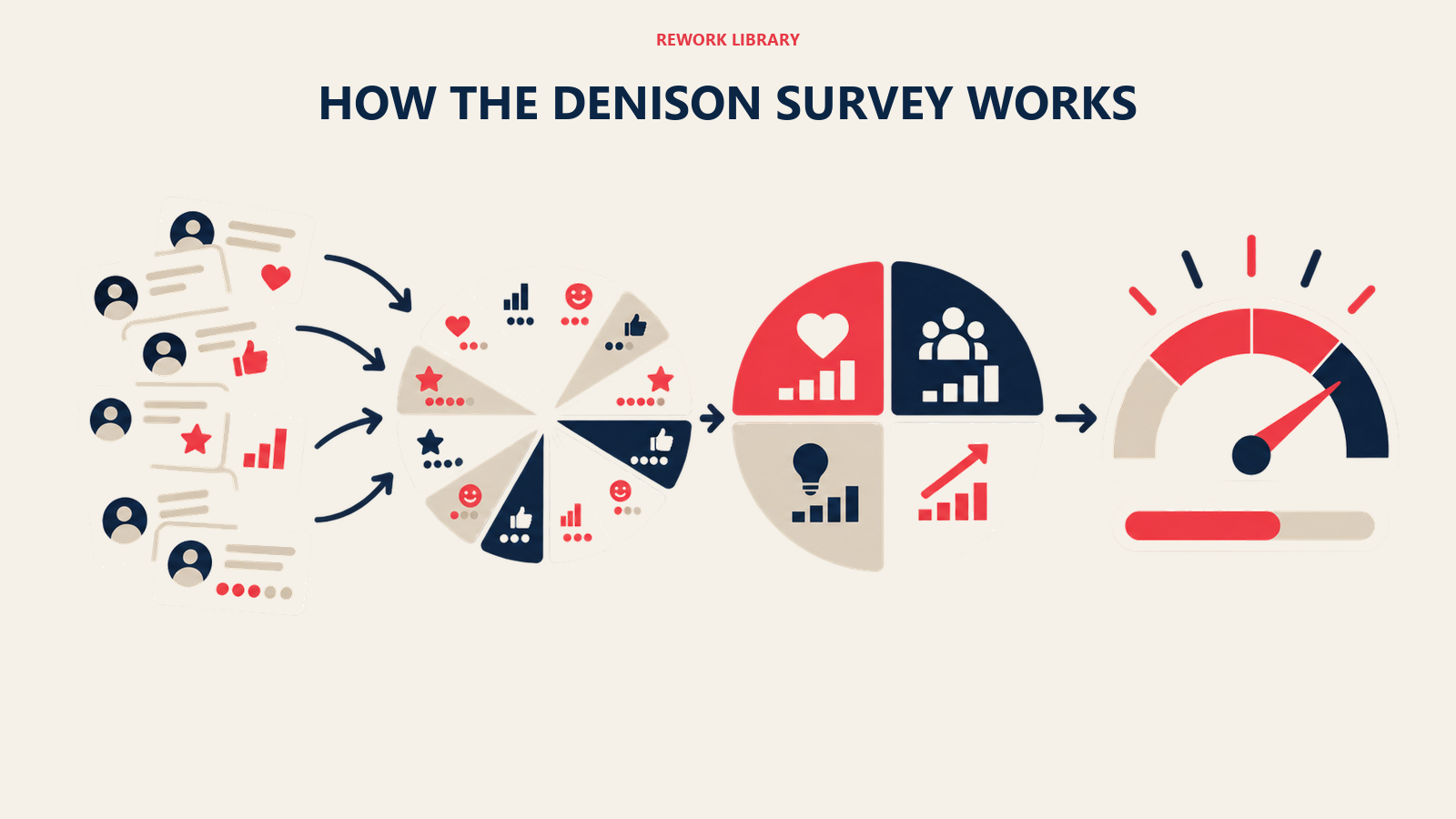 how the denison survey works shown as survey aggregation wheel