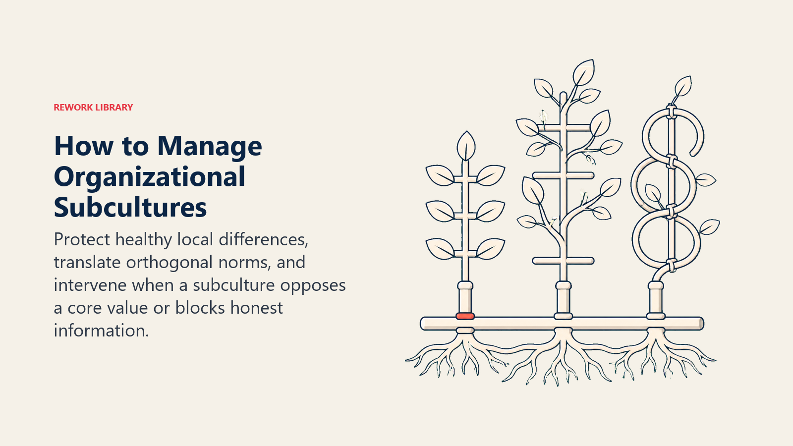 Healthy organizational subcultures shown as distinct local branches supported by one shared trellis and a common root rail