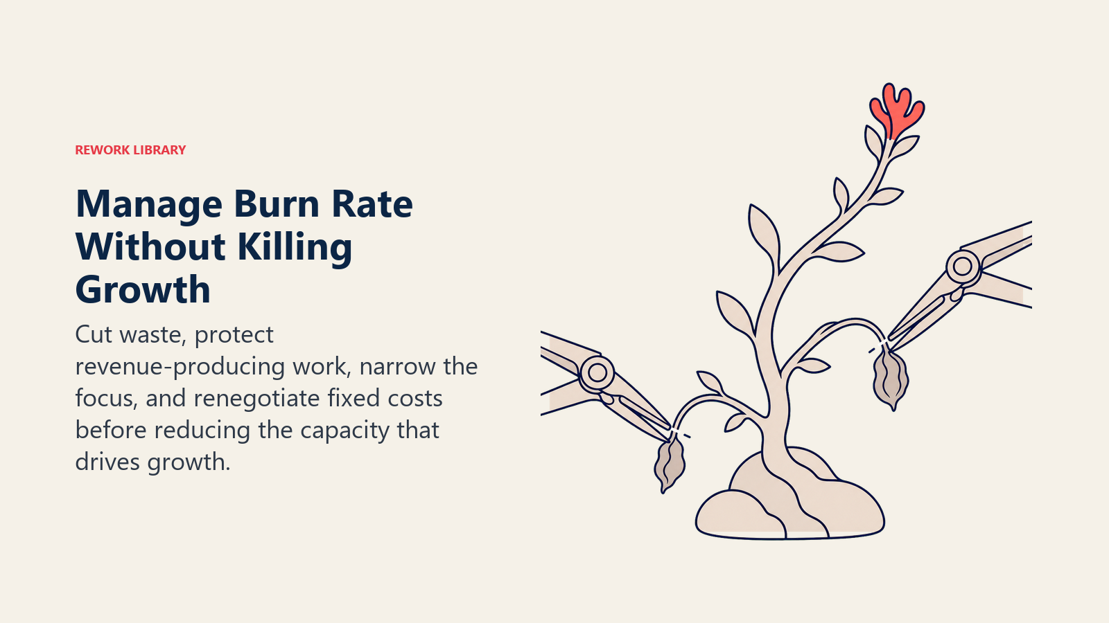 Managing burn rate without killing growth illustrated by selectively removing cost weights while protecting a revenue branch