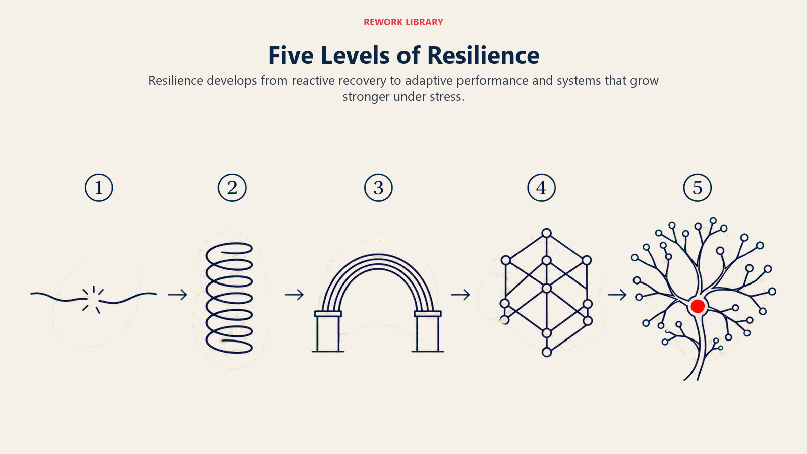 Five Levels of Resilience illustrated with a wide five-stage progression where a fragile line becomes a flexible spring, then a strong arch, an antifragile lattice, and a branching system; sparse numbers 1 through 5