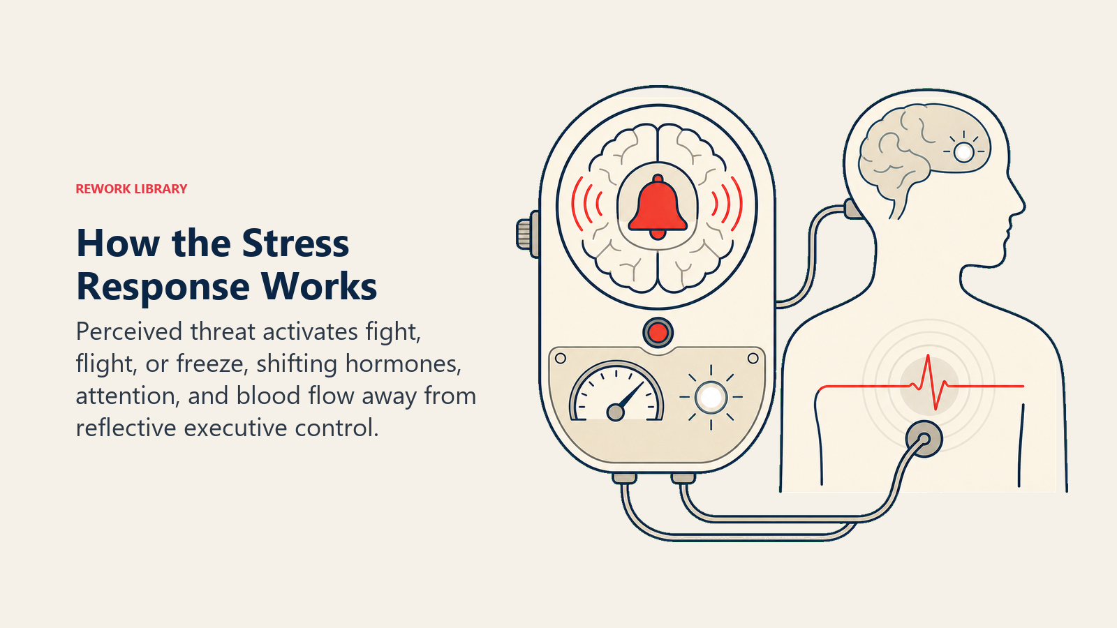 How the Stress Response Works shown as a compact nervous-system alarm instrument shows an amygdala bell triggering a body pulse while a prefrontal control light dims, with one coral alert signal