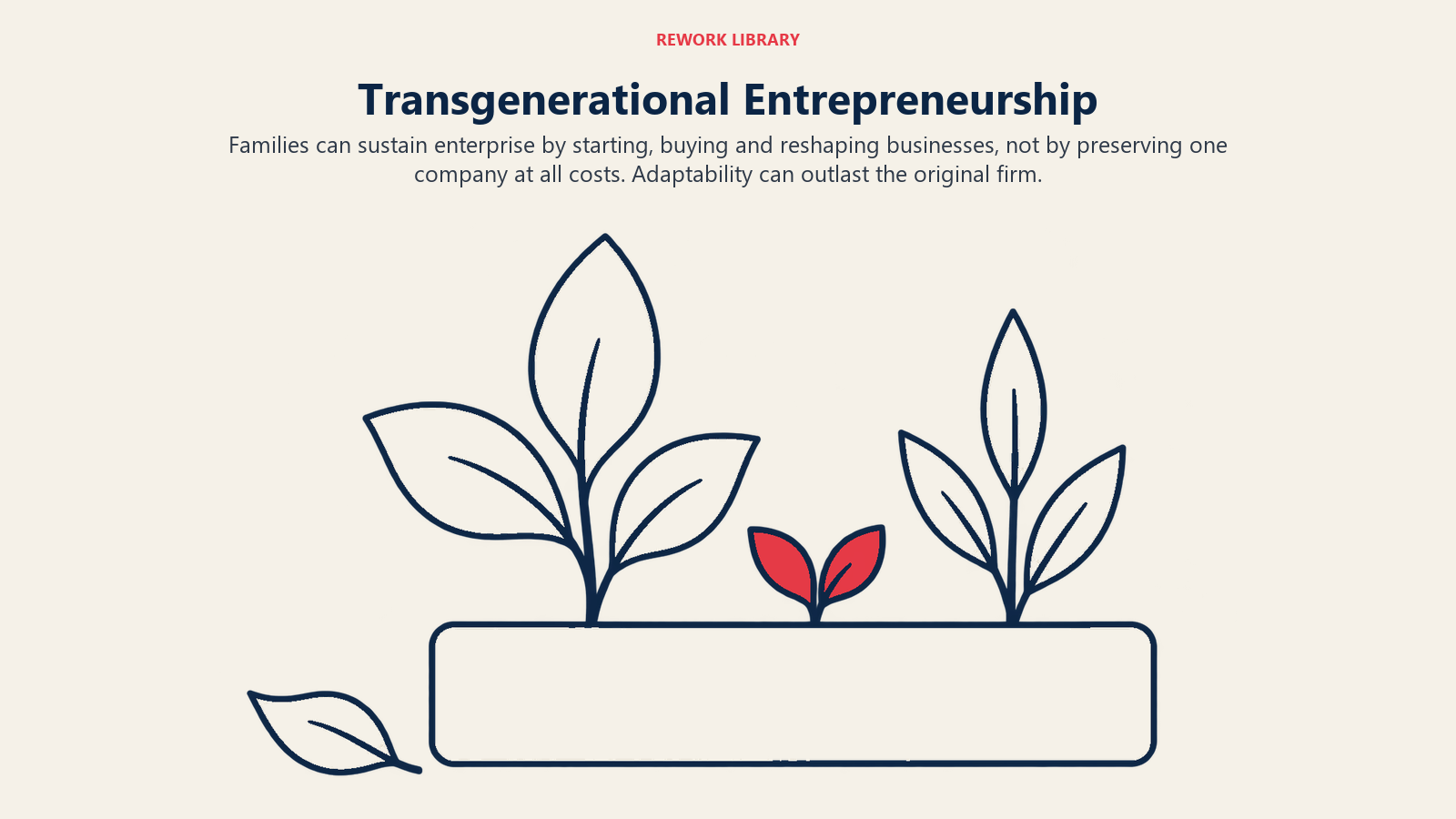 Empreendedorismo transgeracional, ilustrado por um portfólio em renovação.