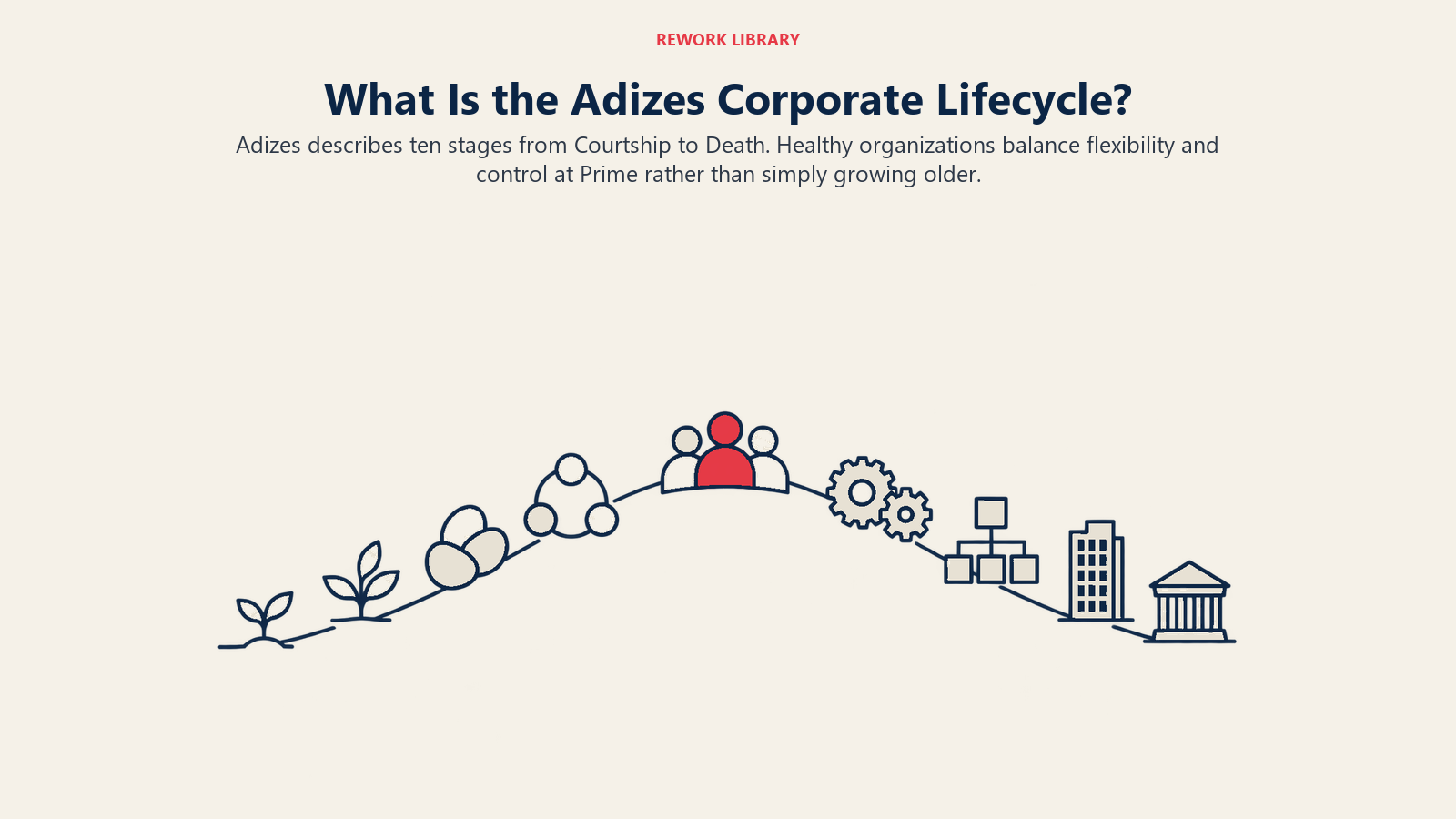 ¿Qué es el ciclo de vida corporativo de Adizes? Un único arco orgánico de ciclo de vida con una cresta equilibrada y bien definida