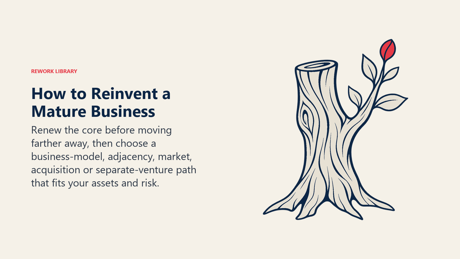 How to Reinvent a Mature Business shown as mature sturdy trunk producing one distinct new branch