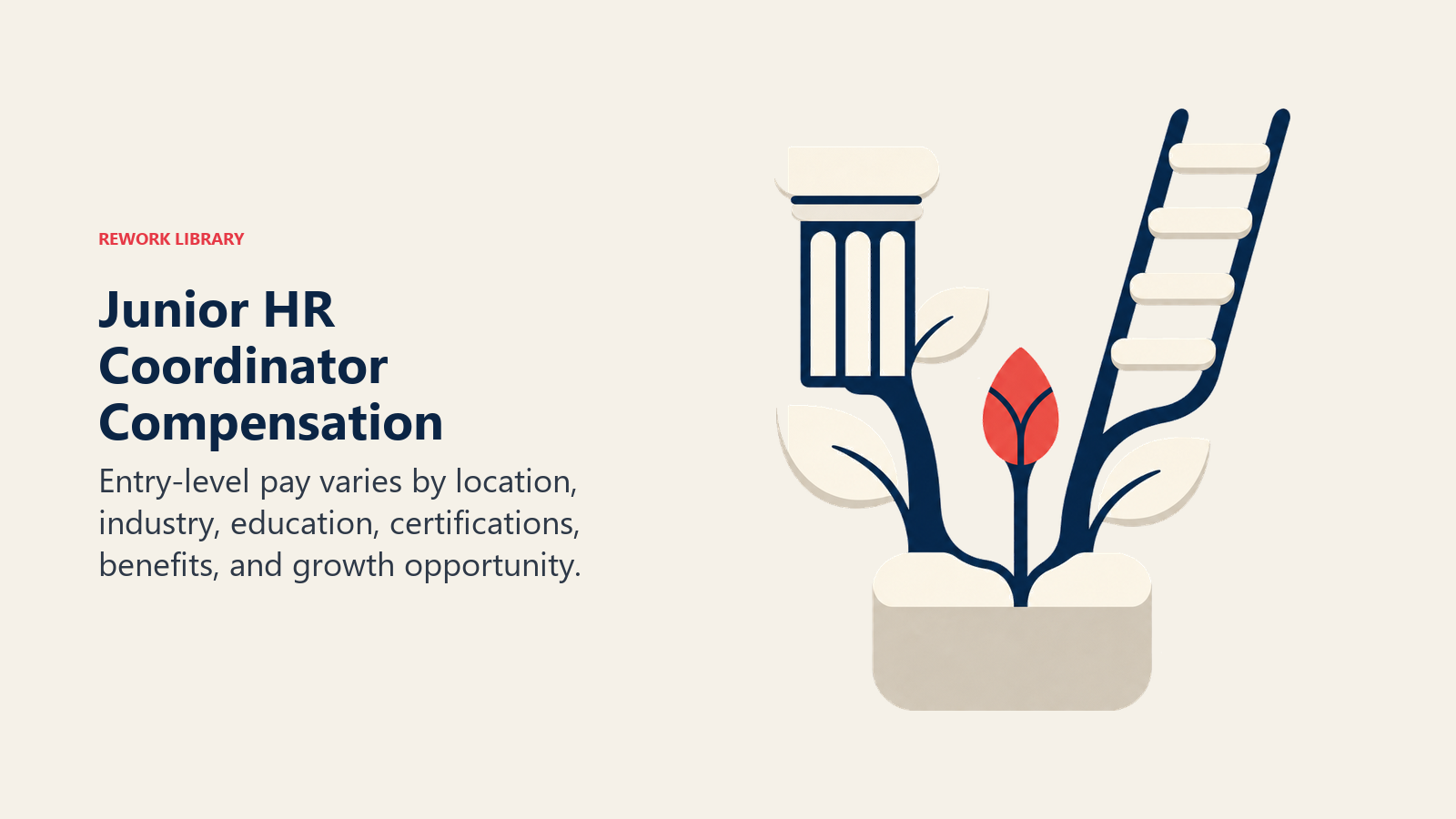Junior HR Coordinator Compensation illustrated with compensation and growth seedbed