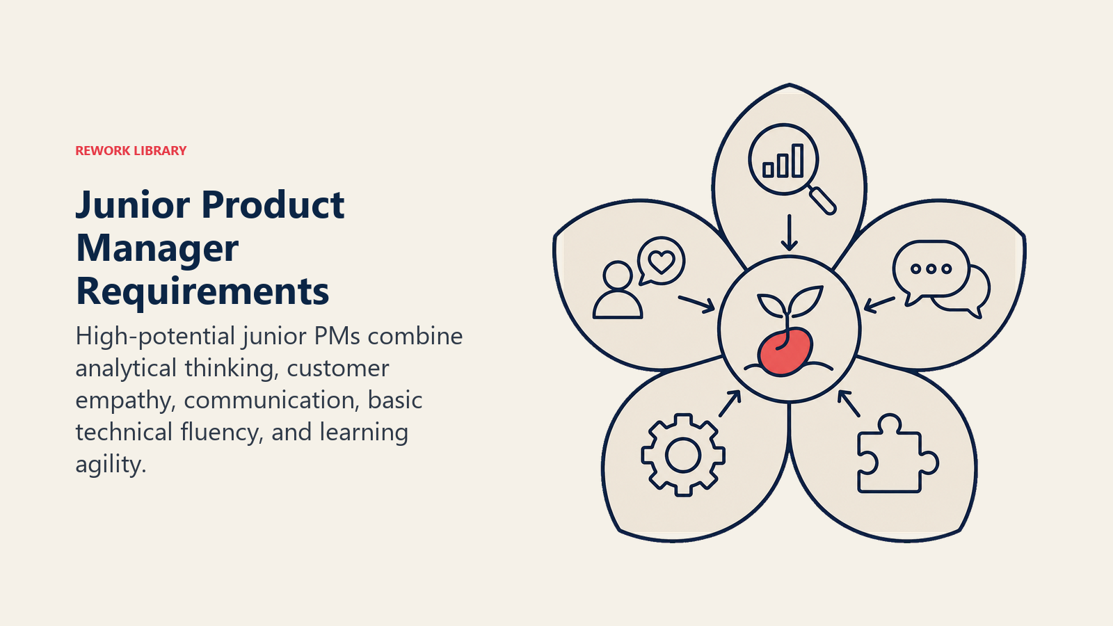 Junior Product Manager Requirements illustrated with a five-petal potential lens focusing evidence into a growing product seed