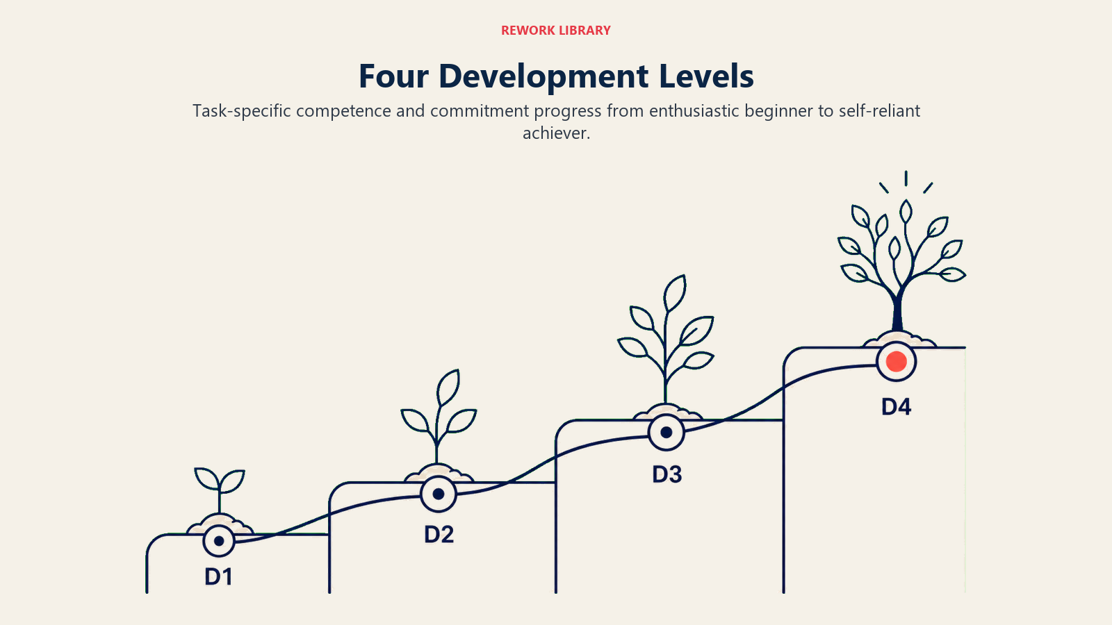 Four Development Levels visual showing a wide four-step development terrace with sparse labels D1, D2, D3, D4 and a capability marker maturing across it