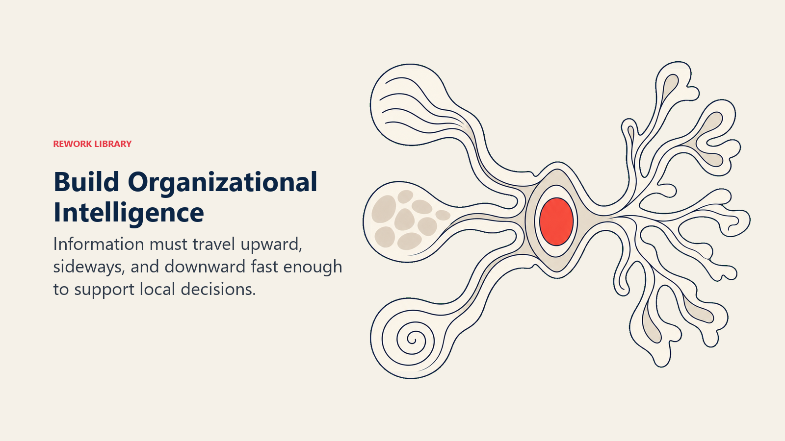 Build Organizational Intelligence shown as a sensing network that gathers signals and returns decisions