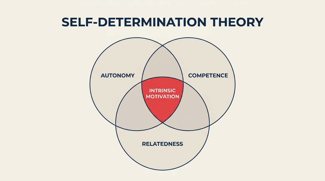 Self-determination theory three needs venn diagram: autonomy, competence, relatedness