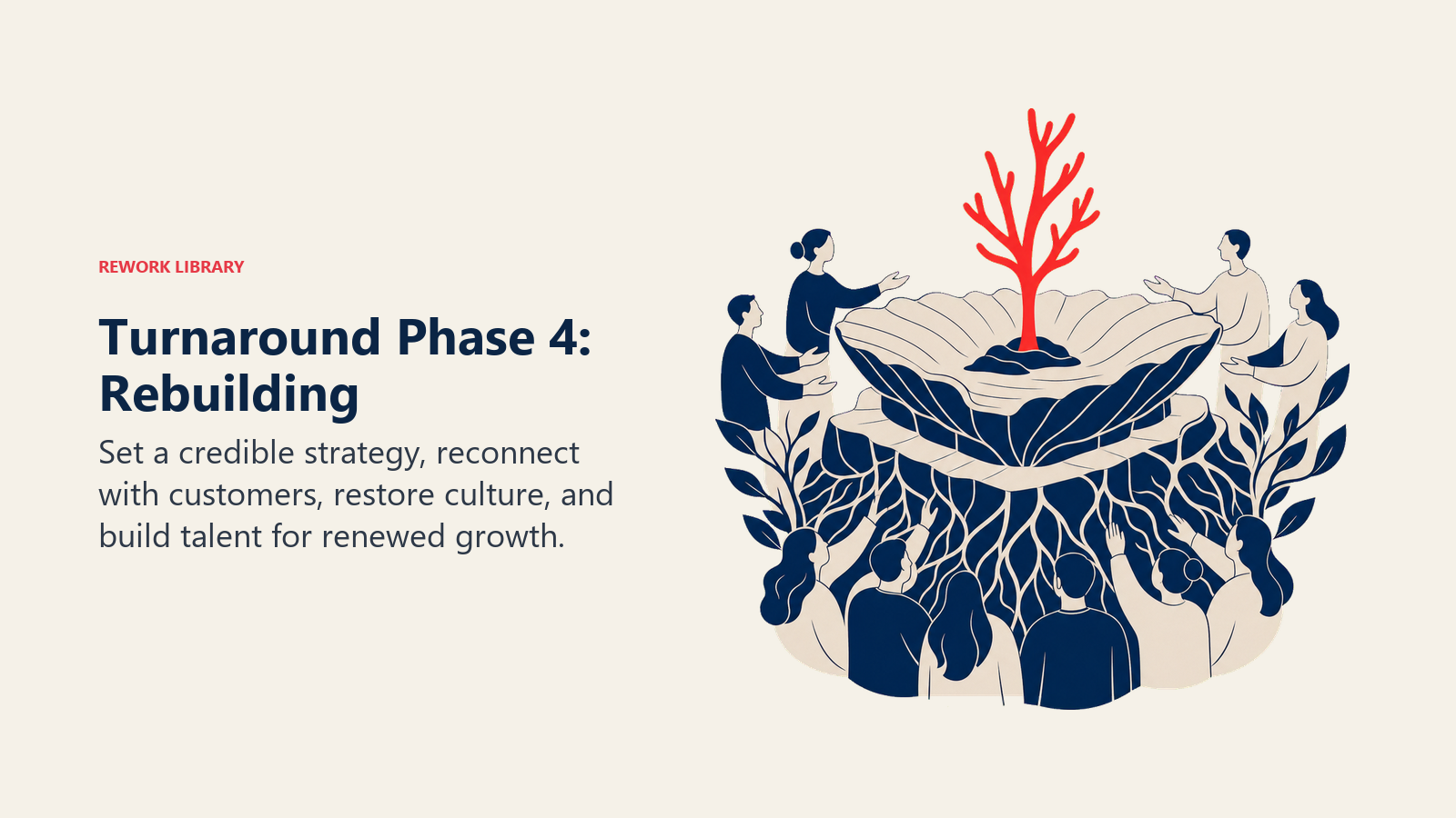 Rebuilt organizational foundation supporting renewed growth after a turnaround