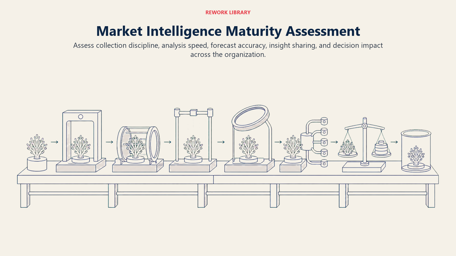 Market intelligence maturity assessment across collection, analysis, forecasting, sharing, and decision impact