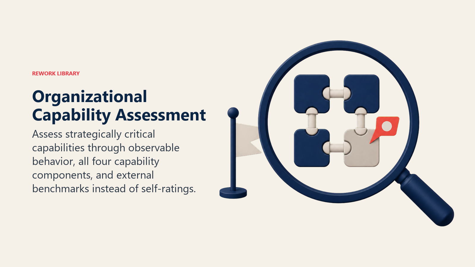 Organizational capability assessment using a diagnostic lens to inspect behavioral evidence and weak components