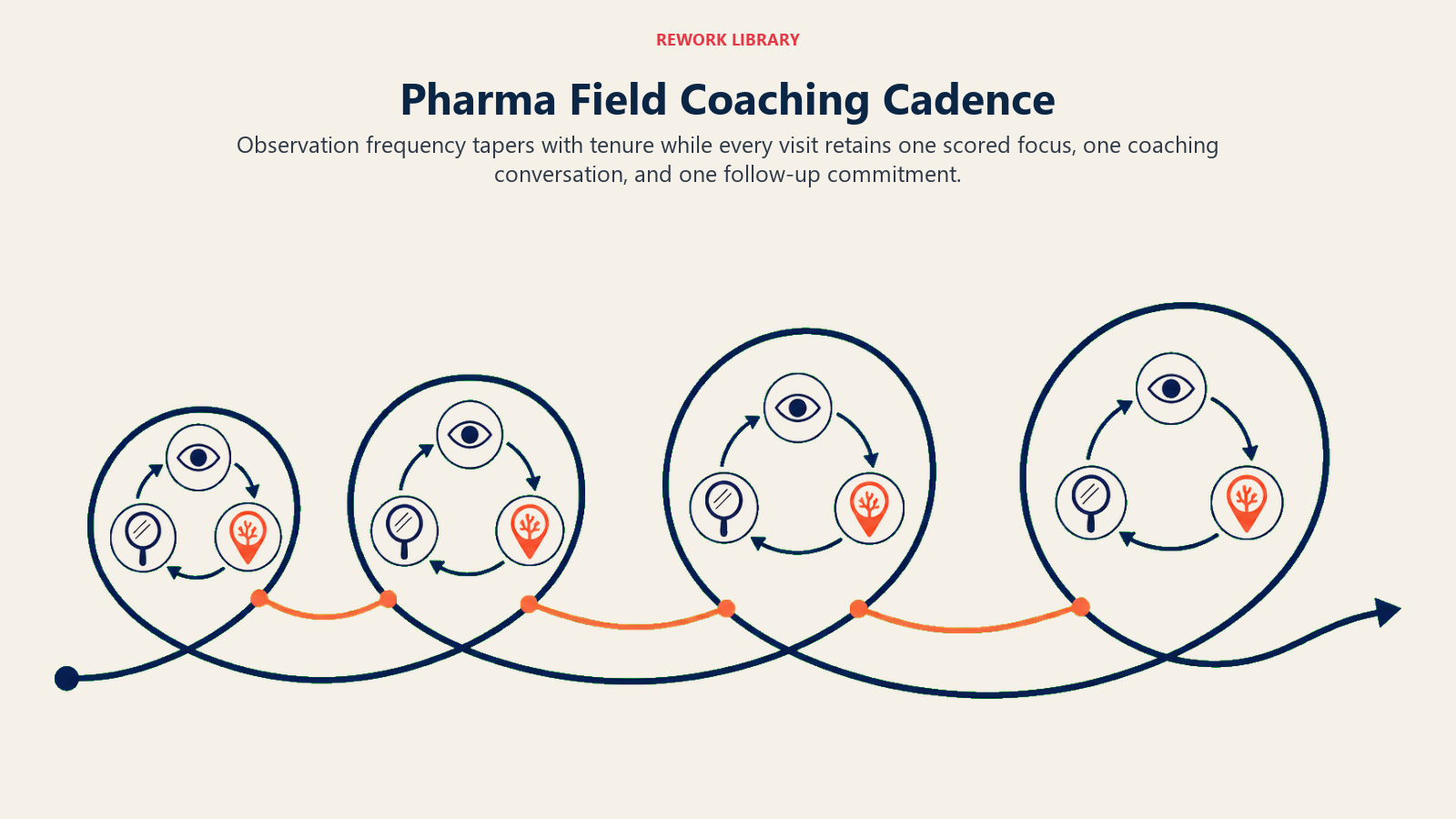 Pharma field coaching cadence shown as a tapering observation and feedback spiral across rep tenure
