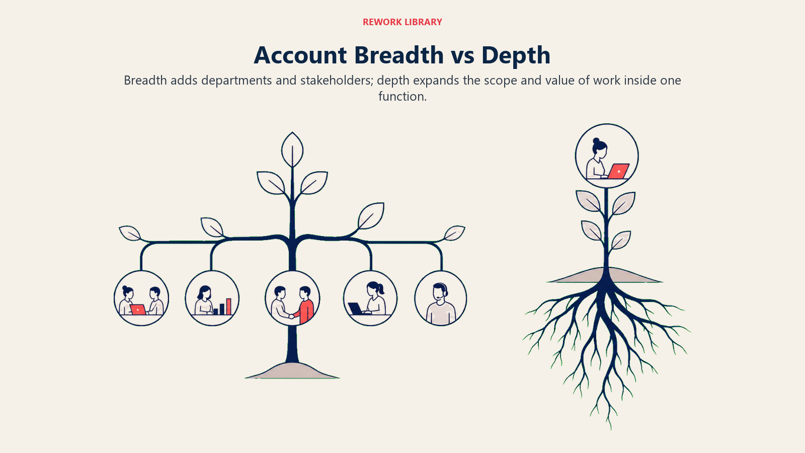Account Breadth vs Depth illustrated with horizontal branches and vertical roots