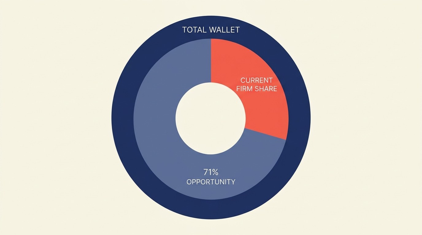 Total addressable wallet breakdown showing current share versus competitor and unmet spend