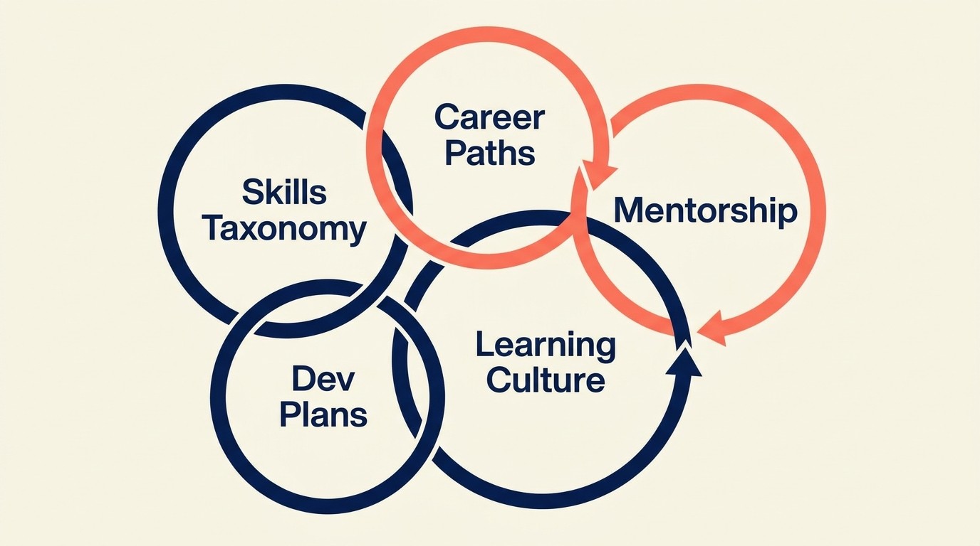 Five components of an effective development system taxonomy plans pathing mentorship and learning culture