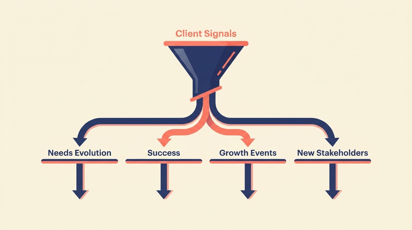 Signals that reveal natural expansion opportunities including client growth, success results, and new stakeholders