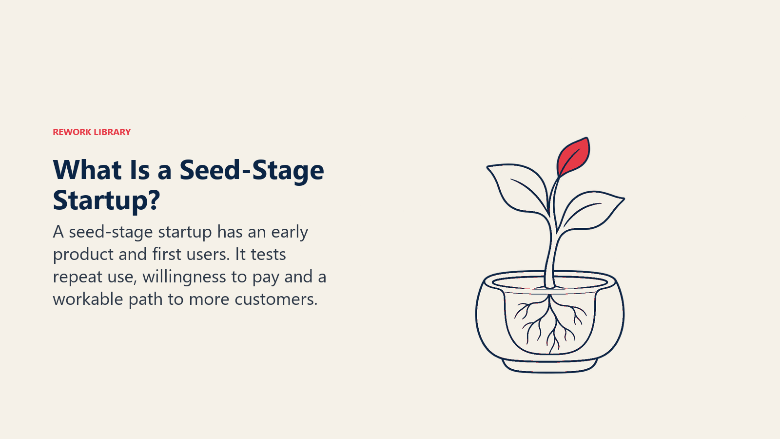 Seed-stage startup represented by a young seedling with emerging roots