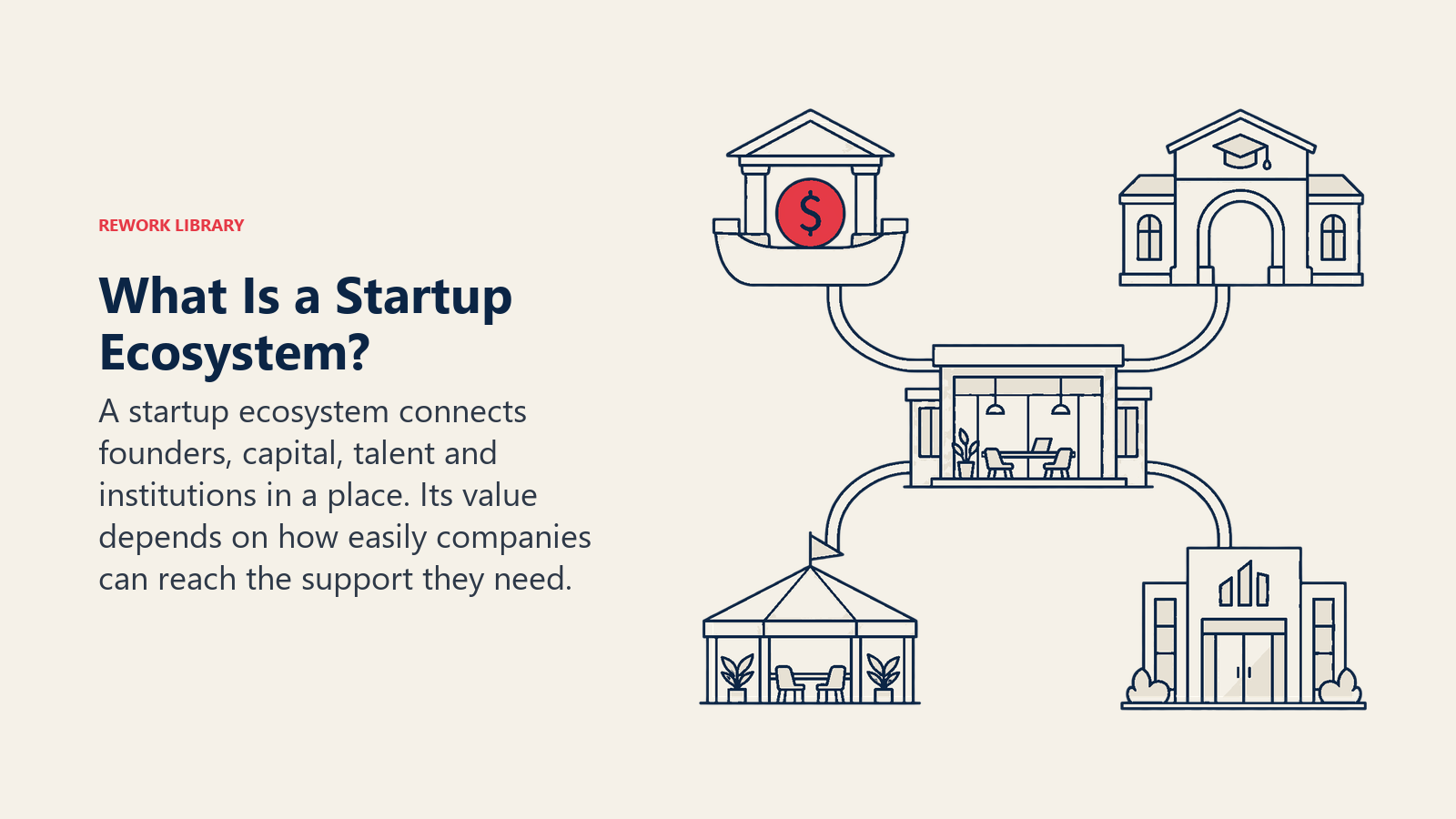What Is a Startup Ecosystem: startup connected to four support actors