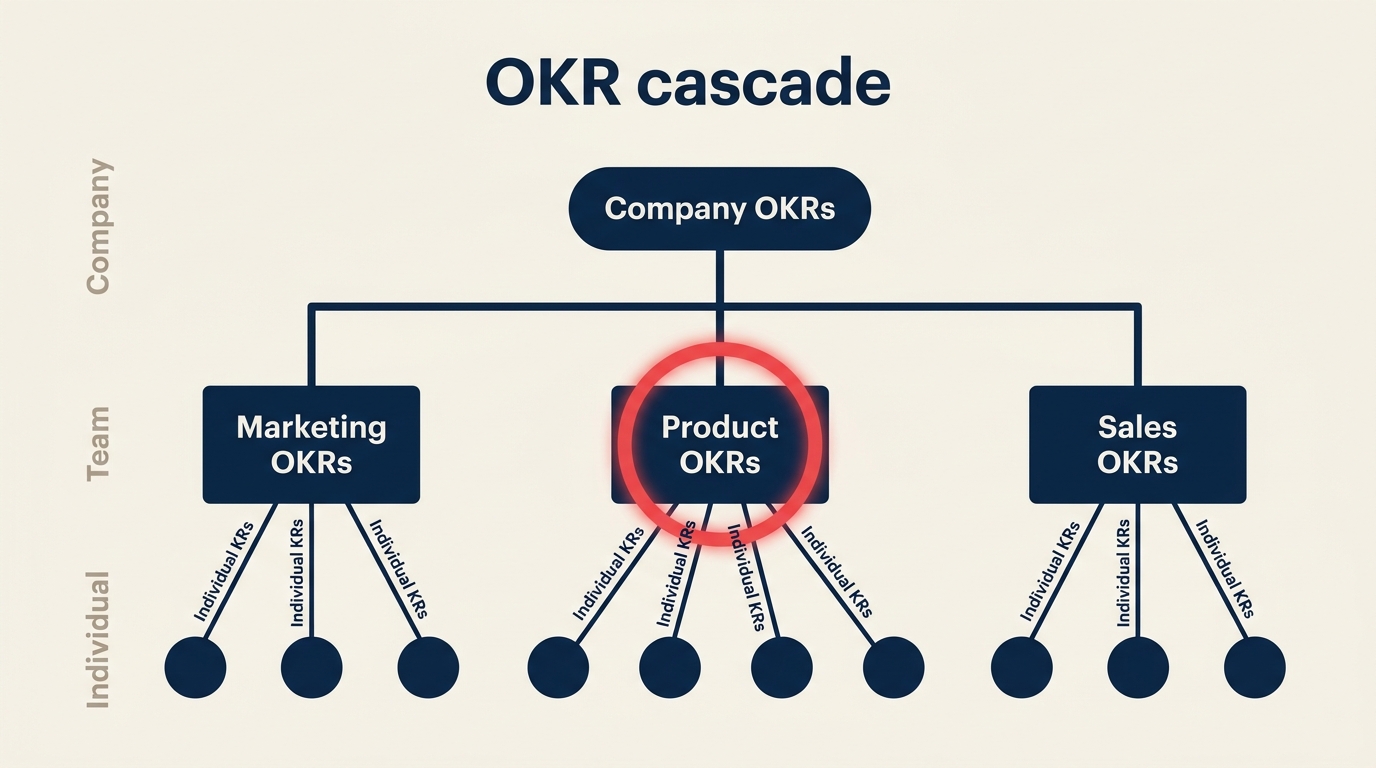 OKR cascade showing company objectives flowing down to team and individual key results with alignment
