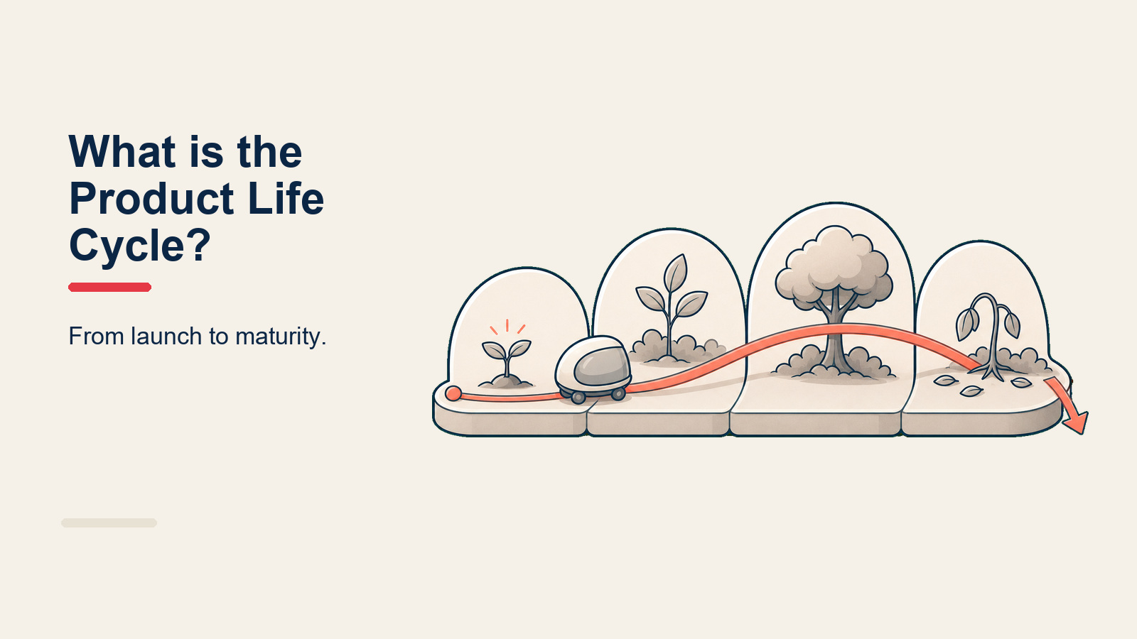 Product life cycle bell curve showing the five stages: development, introduction, growth, maturity, and decline